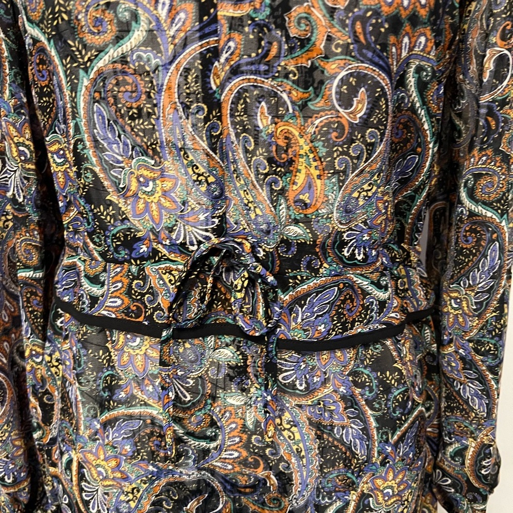 7 for $30 Express Sheer Long Sleeve Paisley Print Dress - Picture 3 of 10